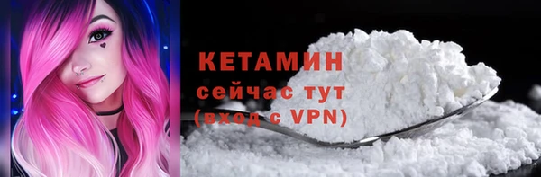 стаф Инта