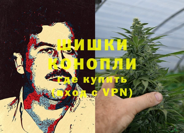 сатива Каменск-Шахтинский