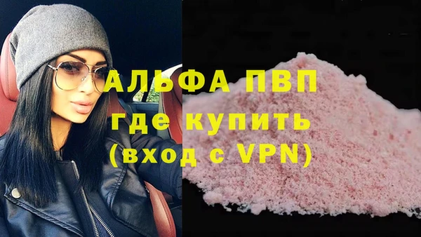 сатива Каменск-Шахтинский