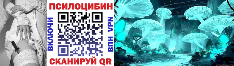 Галлюциногенные грибы GOLDEN TEACHER  хочу наркоту  Мамадыш 